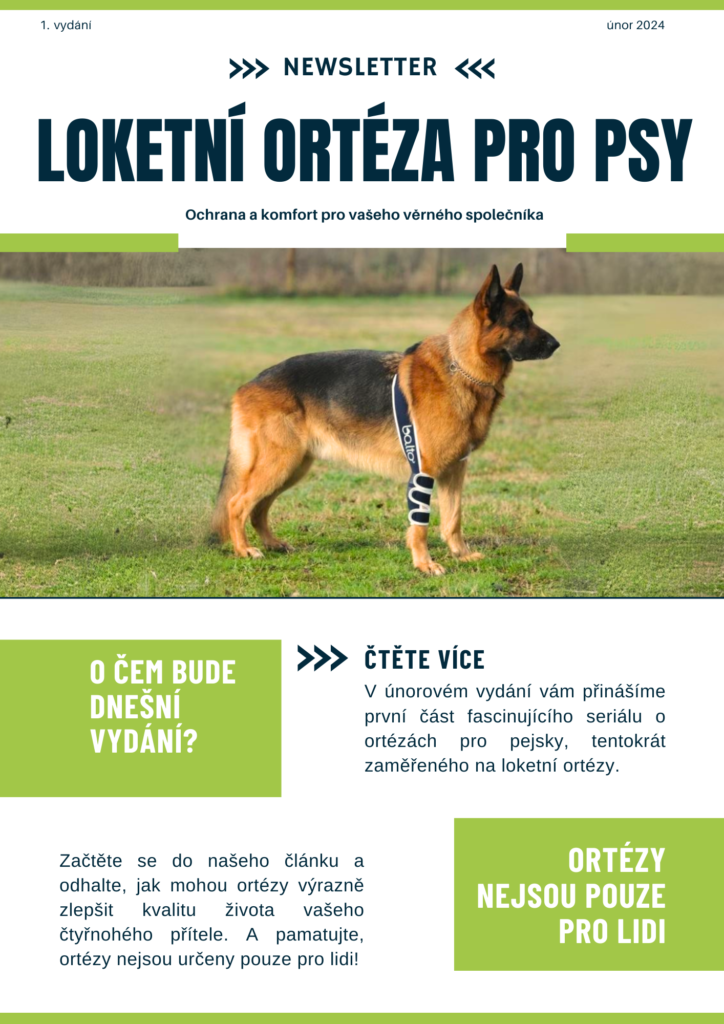 Tisková ukázka 1